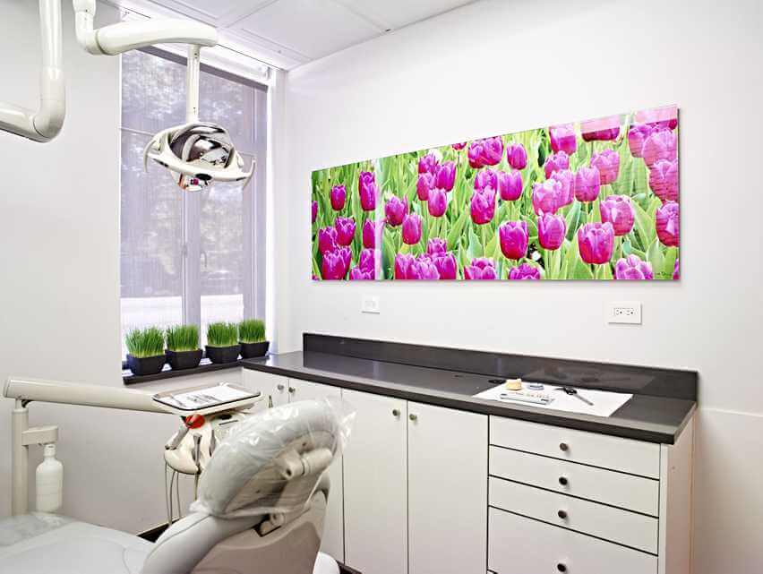 Elite_Smile_West_Side